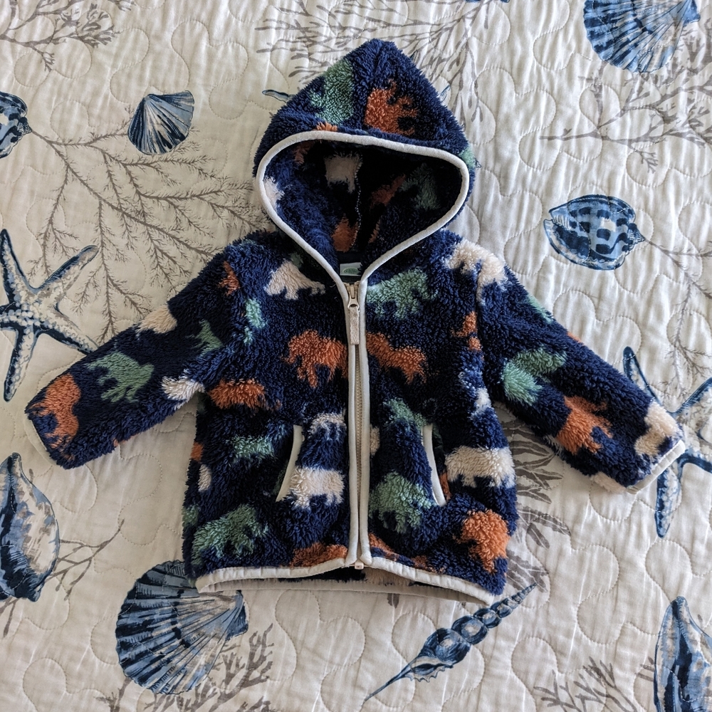 Cozy Fleece Dinosaur Hoodie